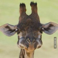 Uriel Rodríguez's Photo