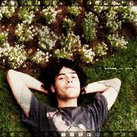 Nitay Gustavo的照片