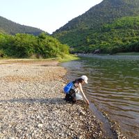 Sandie Birdy's Photo