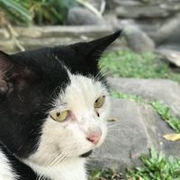 Natasha Cha的照片