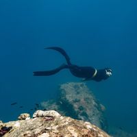 Liliya Pogodina's Photo