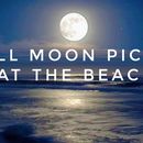Full Moon Picnic's picture