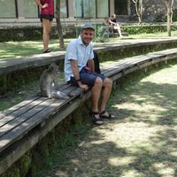 Francesco Dellai's Photo