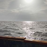 Vincent Yego's Photo