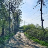 Dion Muijsenberg's Photo