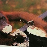 Cemil Arikan's Photo