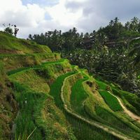 Pauline Wasmer的照片