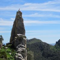 Stephan Kuhlmann的照片