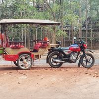 Fotos von Mr.Vanny Siem Reap Tuk Tuk   Taxi Driver Temple Tour