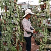 Mery Garcia的照片