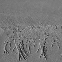 Karine Chiavassa's Photo