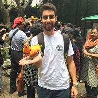 Ahmad Faraj的照片