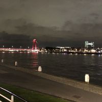 Mohamed Mamdouh's Photo