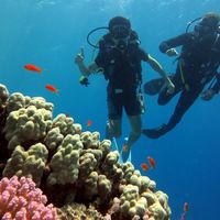 Karim Salah的照片