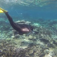 Le foto di Luke Revell