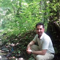 Fotos von REZA AMIRI