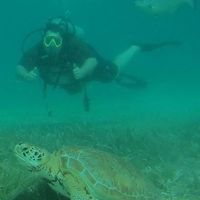 Фотографии пользователя Kevin Bosch