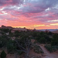 Ryan Rittenhouse的照片