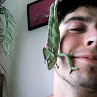 Fotos von Tadeáš Vašina