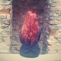 Ňuf Krvelačné的照片