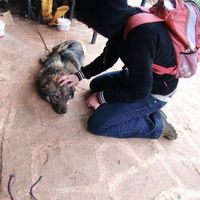 Alessandra Sciarra的照片