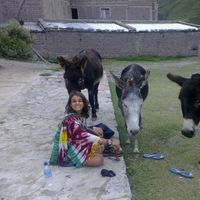 Ana Joao Azevedo的照片