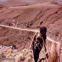 Pau Ramirez的照片