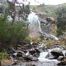 Foto de Morning Hike at Whistlepipe Gully & Lesmurdie Fall