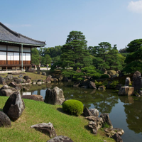 nourelddine elshabrawy的照片