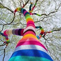 vincent Caillé's Photo