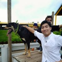 HIROTOSHI TAKANO的照片