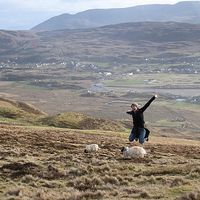 Sarah Hammer's Photo