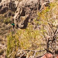 Julian Benito's Photo