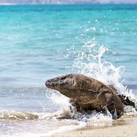 Ferdinand Kristanto's Photo