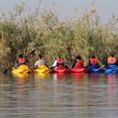 Kayaking 4 Days To Kom Umbo's picture