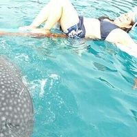 Priscilla Vasquez的照片