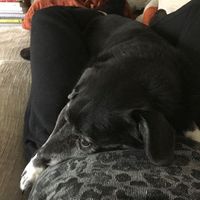 Fotos de Bridget Sincavage