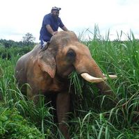 Matthew Neves的照片