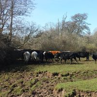 Photos de Alberto Arroyo Medina