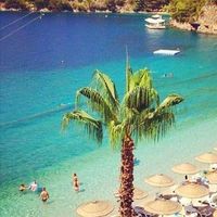 Photos de Özgür Can