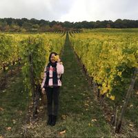 Le foto di Tulip Lau