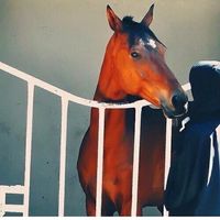 Solway Sayed's Photo