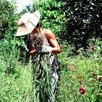 Vanna Bravo的照片