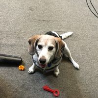 Fotos de Ira Sidorenko