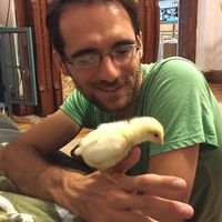 Philip Verde的照片