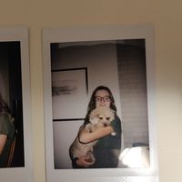 Zdjęcia użytkownika Emily Hedwig