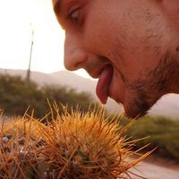 Fotos de Xavier Venturi