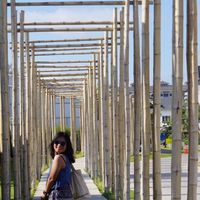 Krong Nguyen's Photo