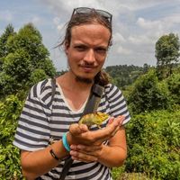 Matyas Rehak的照片