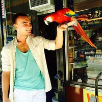 Serbia Rybalko的照片